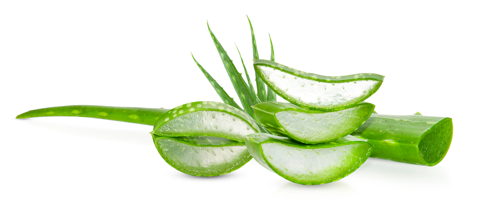 Aloe Vera for Skin That Is Itchy & Inflamed